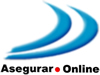 Ver p&aacute;gina Web Asegurar On Line