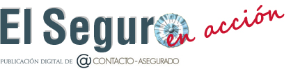 http://www.elseguroenaccion.com.ar/wp/news/04-07-13/