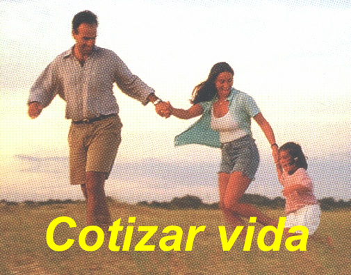 COTIZAR VIDA